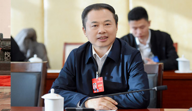 两会季丨围绕区域经济，，，，，，张天任代表提交这些建议