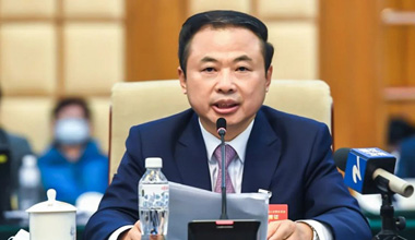 两会季丨围绕新能源工业，，，，，，张天任代表提交这些建议